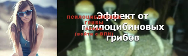 тгк Бронницы