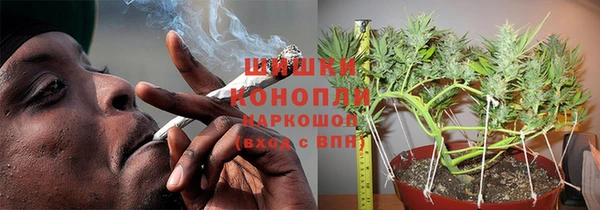 СК Бородино