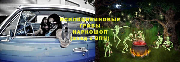 СК Бородино