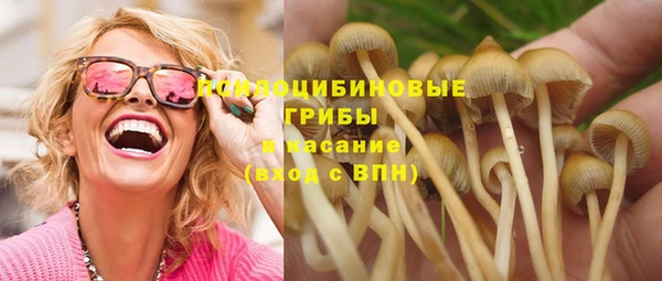 тгк Бронницы